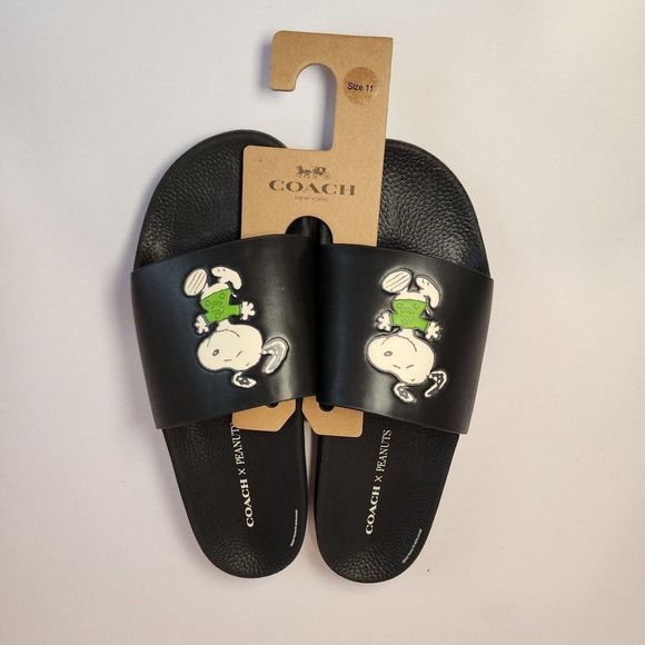 coach snoopy slides